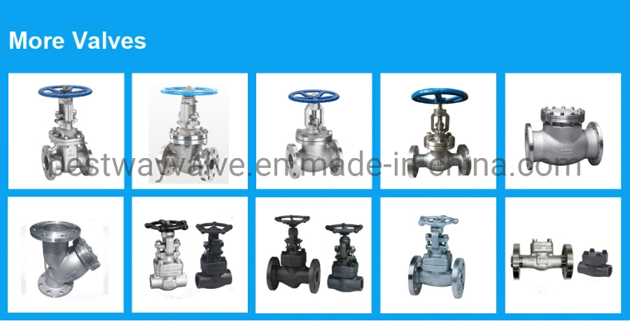 API602 800lb F316L/F304L/F304 Bolted Bonnet NPT Forged Stainless Steel Globe Valve