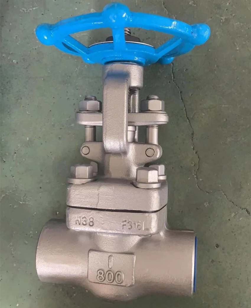 A105 Forged Steel Stainless Steel Cast Iron Sw Bw NPT Thread Globe Valve