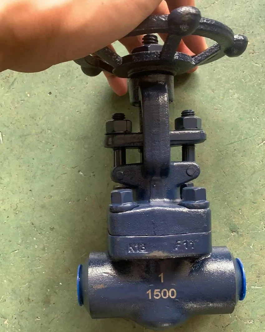 A105 Forged Steel Stainless Steel Cast Iron Sw Bw NPT Thread Globe Valve
