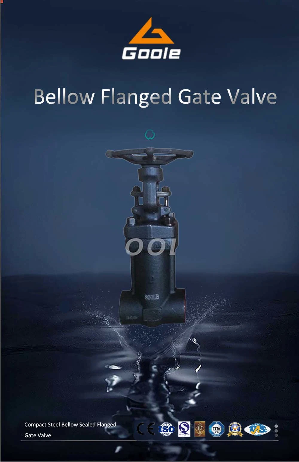 Forged Steel Bellows Seal Globe Valve (GAWJ61H)