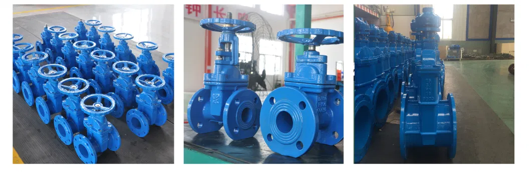 Cast/Ductile Iron Di Ci Stainless Steel Body EPDM/NBR/PTFE Seat Electrical Actuator Driver Pn10 Pn16 150lb Flange Gate Sluice and Butterfly Valve