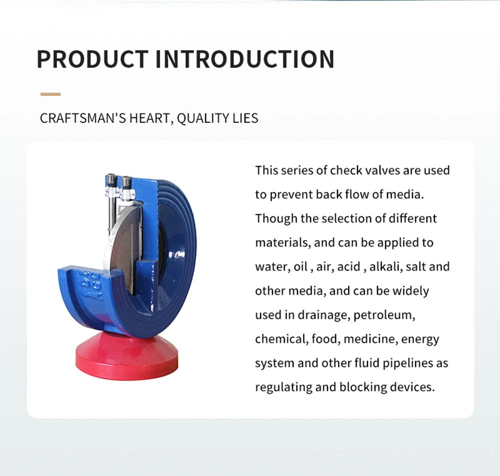 Wafer/Lug/Swing/Slot End Flanged Cast Iron/Stainless Steel Check Valve for Water Fire Protection